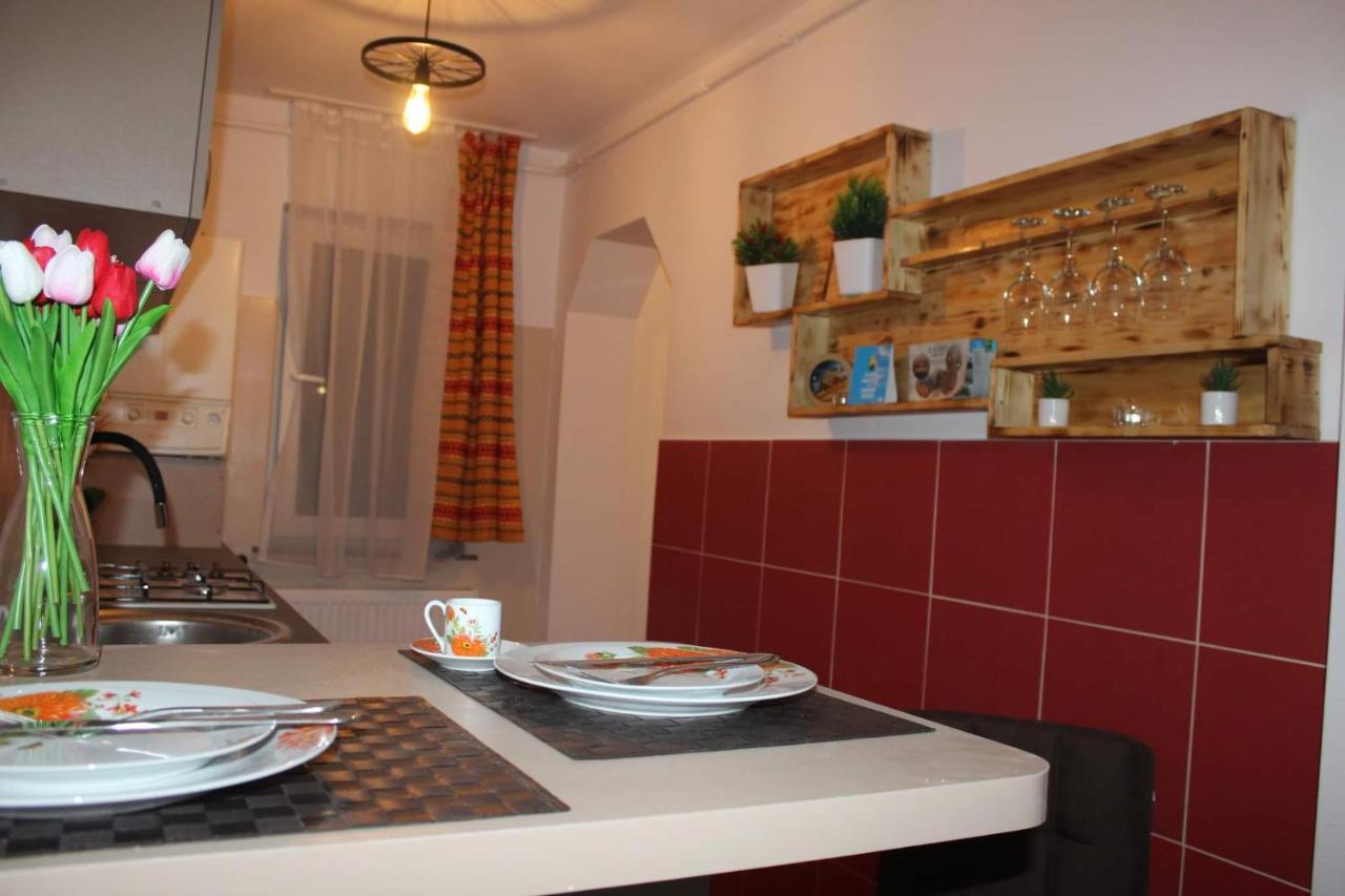 Tîrgu Ocna Apartament Dania & Petru 아파트 외부 사진