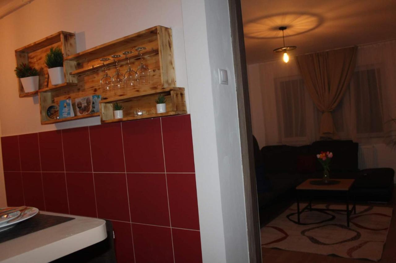 Tîrgu Ocna Apartament Dania & Petru 아파트 외부 사진